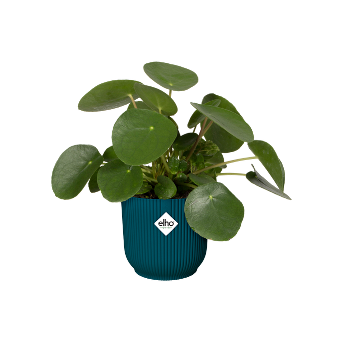 vibes fold rund 22cm tiefes blau